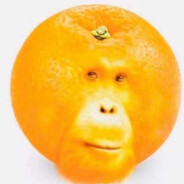 adamek211510CASE.GIFT