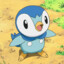 Piplup Enthuisast