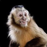 1337.