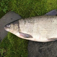 Чесночный багет