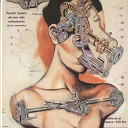 BodyWithoutOrgans's avatar