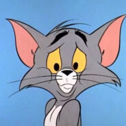 Cвета Шумовая