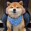 颜乐