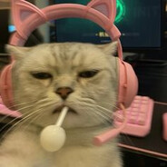 CrabyCat