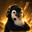 Kowalski™
