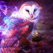 WiseOwl218