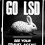 Willy_LSD
