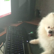 www.twi4 tB snowydoggy