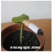 просто малой