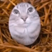 писюн шоколадный