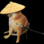 Doge Samurai