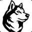 TitaniumHusky_22