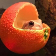 Tomatenfroggo