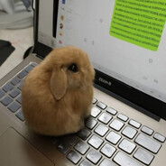 ᲼♱Dumbass Bunny♱