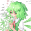 bUSH