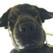 我是外挂，请你自重