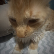 hellen keller denier