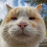 谷谷谷谷谷谷谷谷