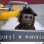 Harambe
