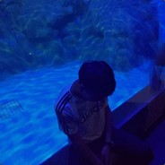 没能陪你到最后