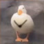 老八传人