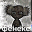 ФЕНЕКЕ