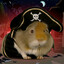 Guinea Pirate
