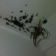 †ℊSKNYRA^^ℊ†®