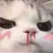 来打我啊，笨蛋