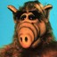 Alf2