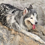 麦当劳在线抓薯条