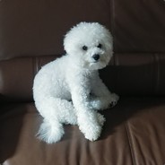 비켜 같은편이야