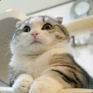 我不是彩虹