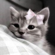 kleo - steam id 76561199800586026