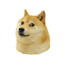 Doge12395