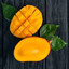 🥭MANGO🥭