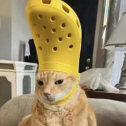 康师傅在逃牛肉