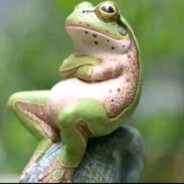 Crazytoad