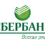 Папа