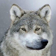 >>> 我昨天操了你媽媽 <<<