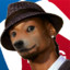 MLG Snoop Doge