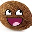 Im_Coconut