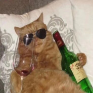 骑着蜗牛追导弹