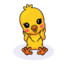 Pollito