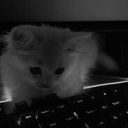 BORN TO DIE - steam id 76561199478619259