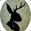 Jackalope Rex