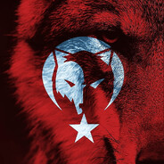☪︎YaLnıZKURT☪