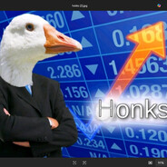 CsGoose