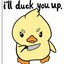 Duck