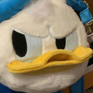 花栗鼠不吃爆米